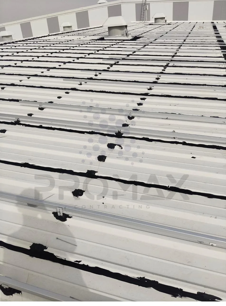 Avalar TLM Logistics - Promax project Dubai