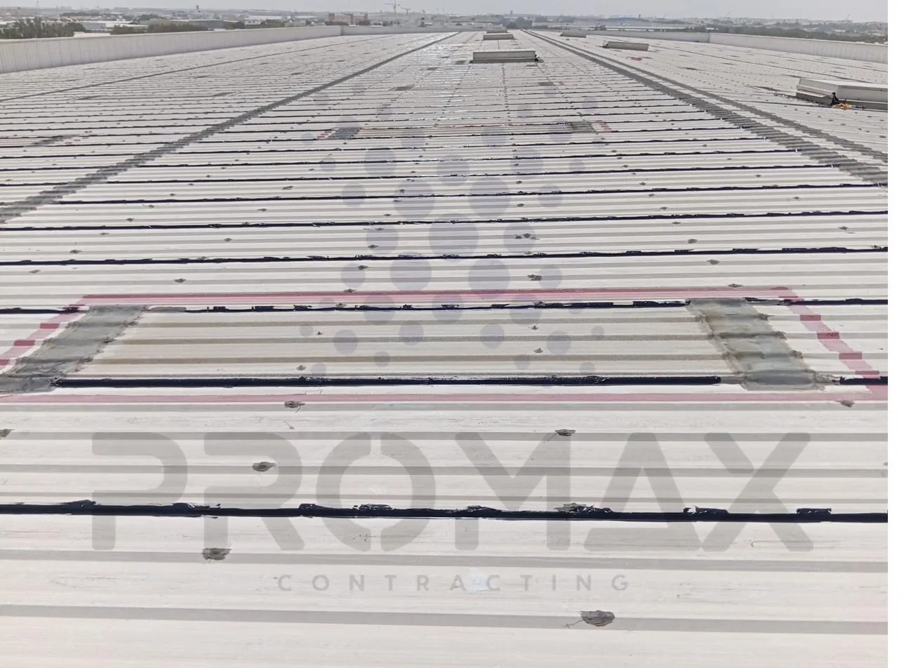 Transmed DIP - Promax project Dubai