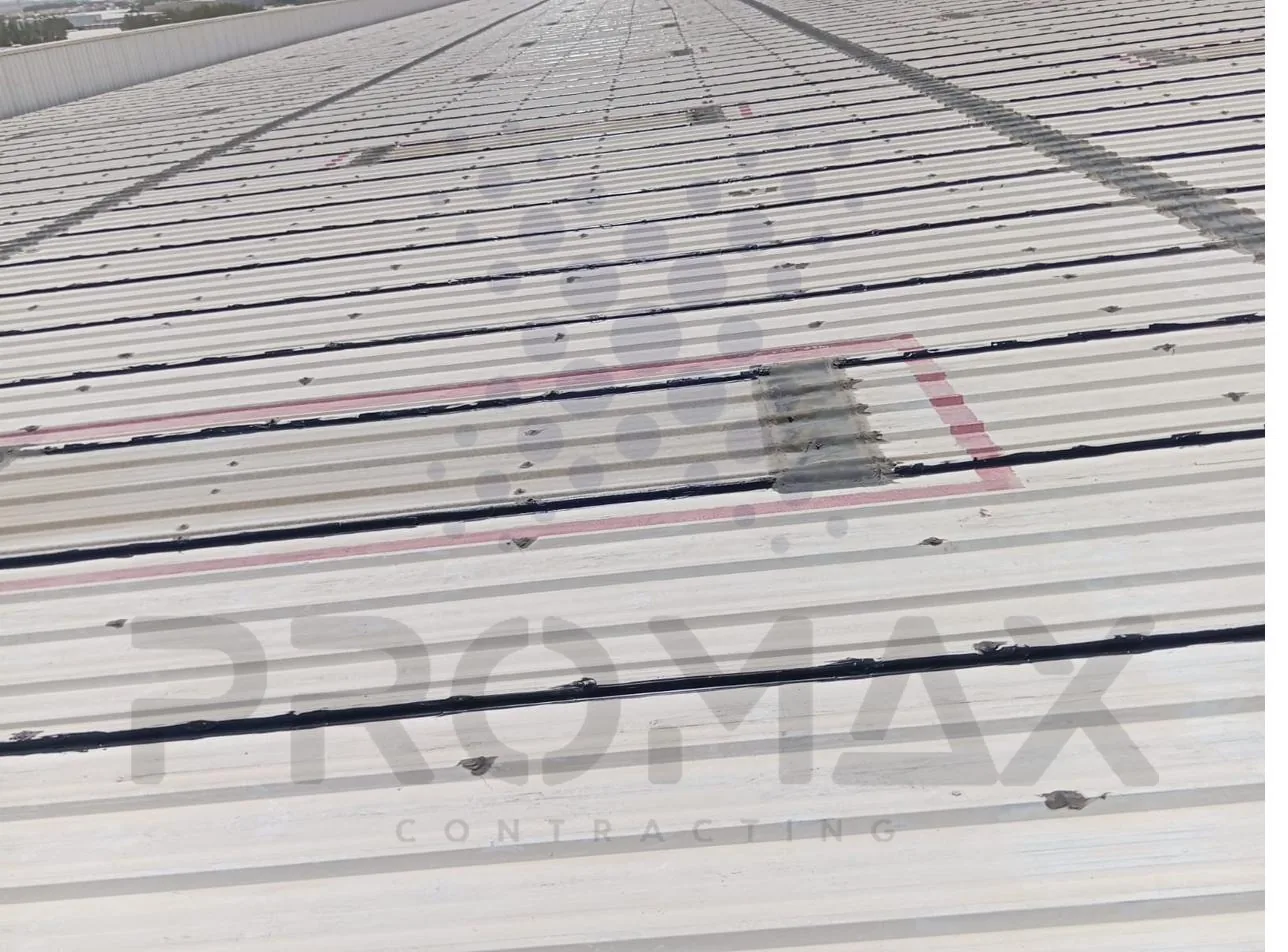 Transmed DIP - Promax project Dubai