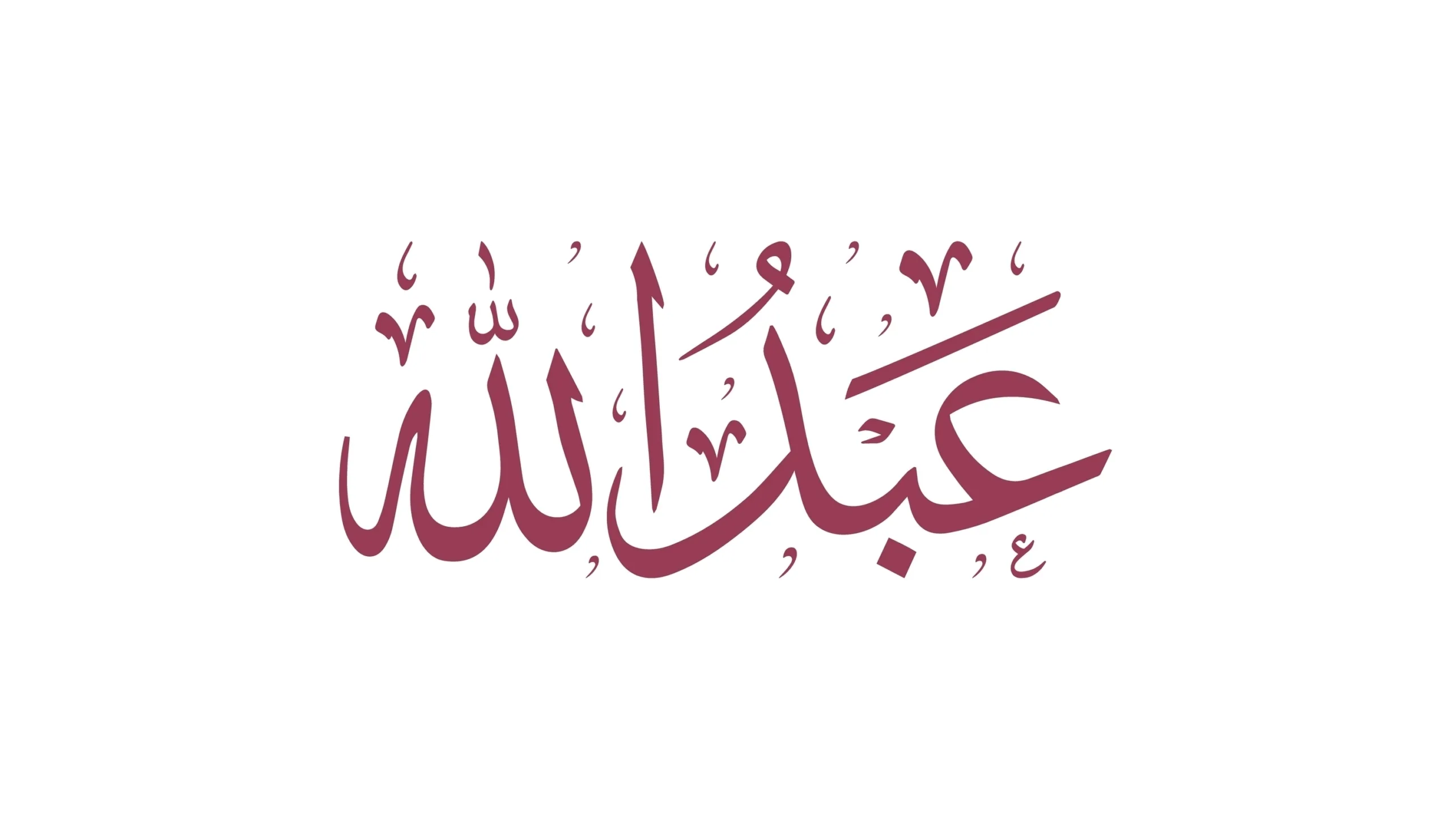 Salah and Abdullah logo